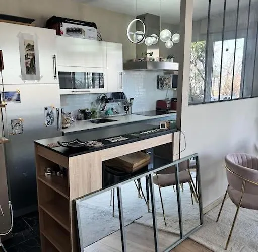 Appartement Rooftop Chaleureux Hyper-centre Toulouse