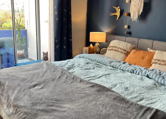 Rooftop Chaleureux Hyper-centre * Toulouse